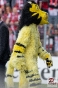 www_PhotoFloh_de_Verbandspokal_Finale_Worms_FCK_25_05_2019_185