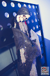 www_PhotoFloh_de_Halloween-Party_QuasimodoPS_31_10_2022_138
