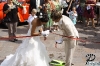 www_PhotoFloh_de_Hochzeit_H_M_11_07_2009_062