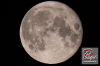 www_PhotoFloh_de_Kerwe_Ludwigswinkel_12_08_2022_079