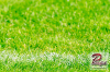 www_PhotoFloh_de_Regionalliga_FKPirmasens_FCAstoriaWalldorf _23_04_2022_013