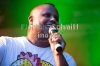 www_PhotoFloh_de_Stadtfest_Zweibruecken_27_07_2013_018