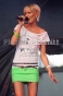 www_PhotoFloh_de_Stadtfest_ZW_FrontalPartyPur_BrassMachine_27_07_2012_014