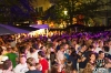 www_PhotoFloh_de_Stadtfest_ZW_FrontalPartyPur_BrassMachine_27_07_2012_152